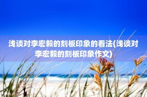 浅谈对李宏毅的刻板印象的看法(浅谈对李宏毅的刻板印象作文)