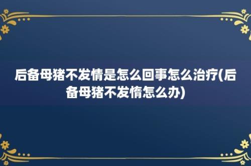 后备母猪不发情是怎么回事怎么治疗(后备母猪不发惰怎么办)