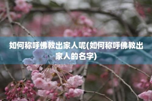 如何称呼佛教出家人呢(如何称呼佛教出家人的名字)