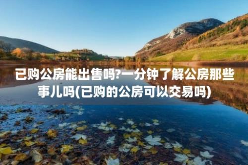 已购公房能出售吗?一分钟了解公房那些事儿吗(已购的公房可以交易吗)