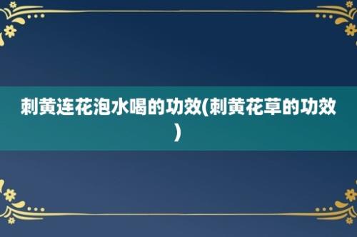 刺黄连花泡水喝的功效(刺黄花草的功效)