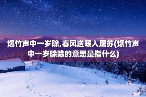 爆竹声中一岁除,春风送暖入屠苏(爆竹声中一岁除除的意思是指什么)