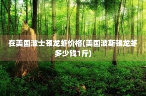 在美国波士顿龙虾价格(美国波斯顿龙虾多少钱1斤)