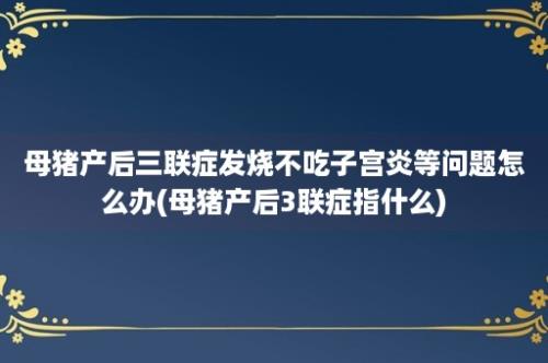 母猪产后三联症发烧不吃子宫炎等问题怎么办(母猪产后3联症指什么)