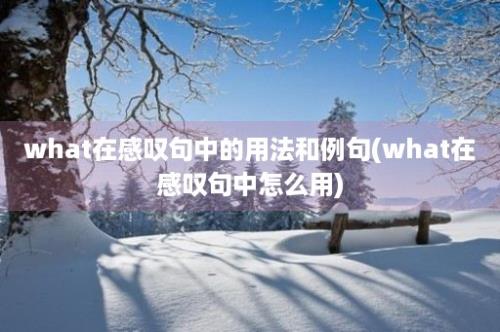 what在感叹句中的用法和例句(what在感叹句中怎么用)