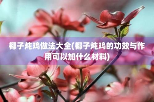 椰子炖鸡做法大全(椰子炖鸡的功效与作用可以加什么材料)