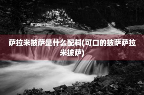 萨拉米披萨是什么配料(可口的披萨萨拉米披萨)