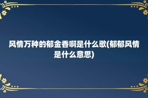 风情万种的郁金香啊是什么歌(郁郁风情是什么意思)