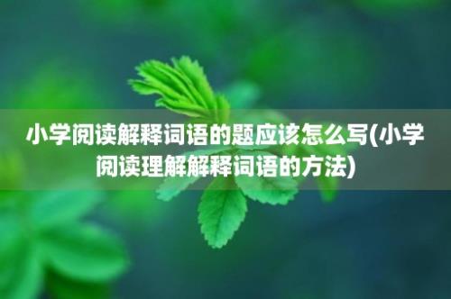 小学阅读解释词语的题应该怎么写(小学阅读理解解释词语的方法)