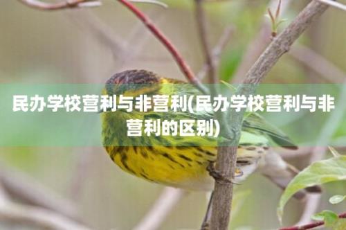 民办学校营利与非营利(民办学校营利与非营利的区别)