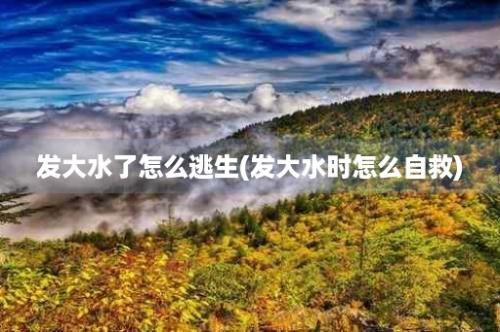 发大水了怎么逃生(发大水时怎么自救)