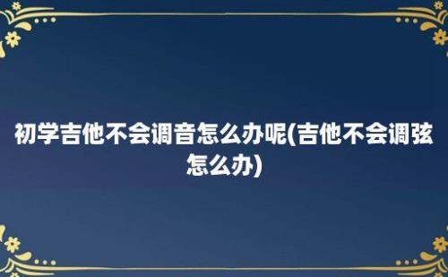 初学吉他不会调音怎么办呢(吉他不会调弦怎么办)