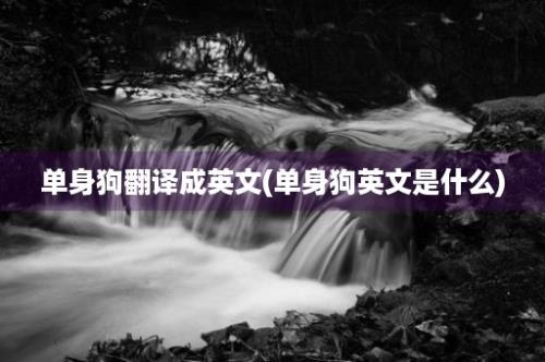 单身狗翻译成英文(单身狗英文是什么)