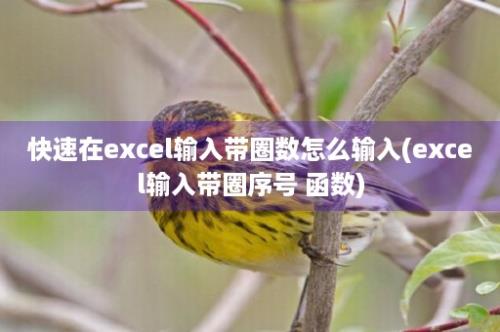 快速在excel输入带圈数怎么输入(excel输入带圈序号 函数)