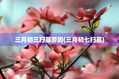 三月初三扫墓原因(三月初七扫墓)