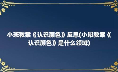 小班教案《认识颜色》反思(小班教案《认识颜色》是什么领域)