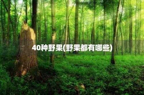 40种野果(野果都有哪些)