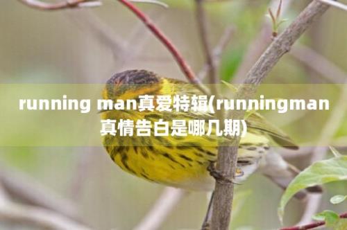 running man真爱特辑(runningman真情告白是哪几期)