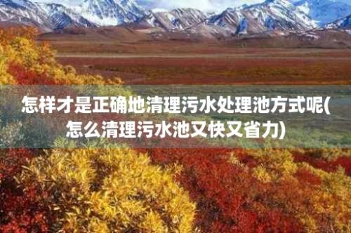 怎样才是正确地清理污水处理池方式呢(怎么清理污水池又快又省力)