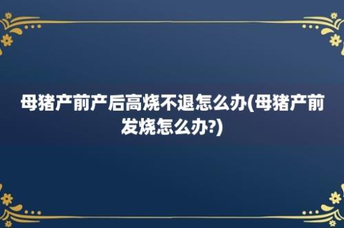 母猪产前产后高烧不退怎么办(母猪产前发烧怎么办?)