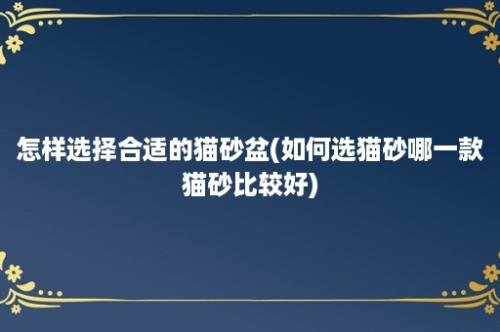 怎样选择合适的猫砂盆(如何选猫砂哪一款猫砂比较好)