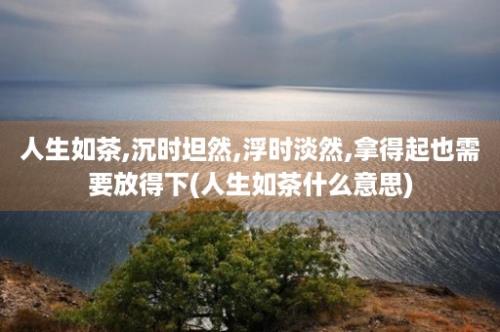 人生如茶,沉时坦然,浮时淡然,拿得起也需要放得下(人生如茶什么意思)