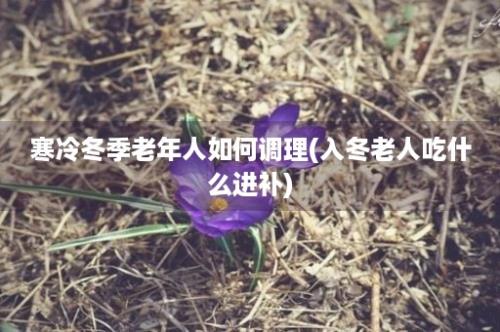 寒冷冬季老年人如何调理(入冬老人吃什么进补)