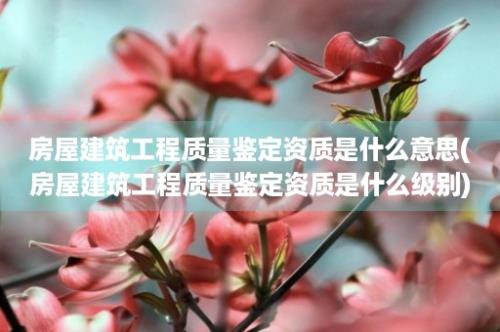 房屋建筑工程质量鉴定资质是什么意思(房屋建筑工程质量鉴定资质是什么级别)