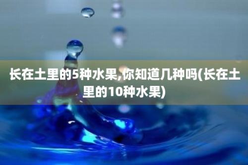 长在土里的5种水果,你知道几种吗(长在土里的10种水果)