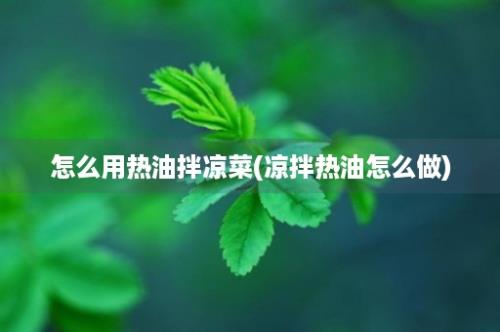 怎么用热油拌凉菜(凉拌热油怎么做)