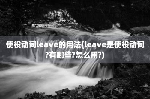 使役动词leave的用法(leave是使役动词?有哪些?怎么用?)