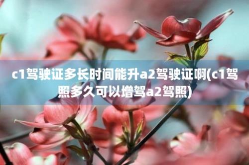 c1驾驶证多长时间能升a2驾驶证啊(c1驾照多久可以增驾a2驾照)