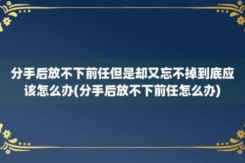 分手后放不下前任但是却又忘不掉到底应该怎么办(分手后放不下前任怎么办)