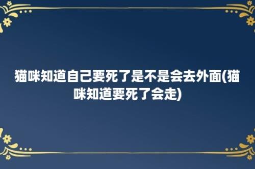 猫咪知道自己要死了是不是会去外面(猫咪知道要死了会走)