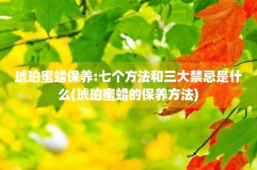 琥珀蜜蜡保养:七个方法和三大禁忌是什么(琥珀蜜蜡的保养方法)