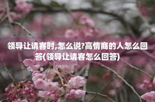 领导让请客时,怎么说?高情商的人怎么回答(领导让请客怎么回答)