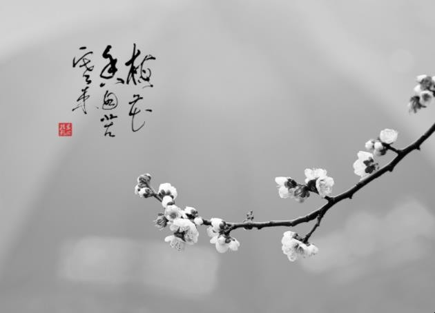 梅花香自苦寒来的意思是什么