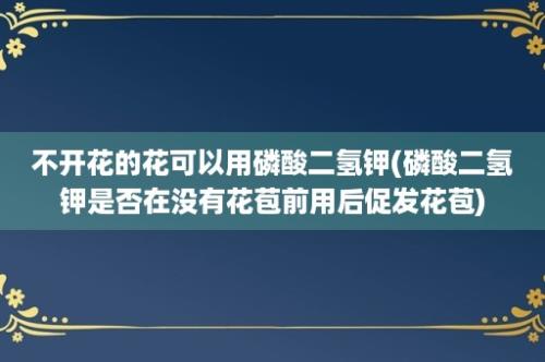 不开花的花可以用磷酸二氢钾(磷酸二氢钾是否在没有花苞前用后促发花苞)