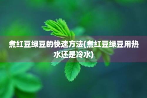 煮红豆绿豆的快速方法(煮红豆绿豆用热水还是冷水)