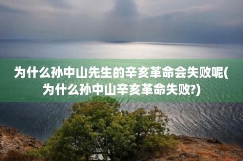 为什么孙中山先生的辛亥革命会失败呢(为什么孙中山辛亥革命失败?)