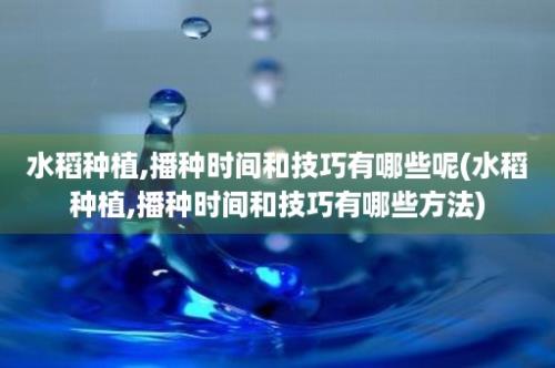 水稻种植,播种时间和技巧有哪些呢(水稻种植,播种时间和技巧有哪些方法)