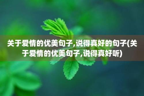 关于爱情的优美句子,说得真好的句子(关于爱情的优美句子,说得真好听)