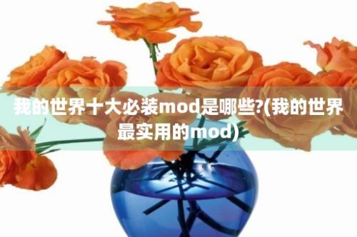 我的世界十大必装mod是哪些?(我的世界最实用的mod)