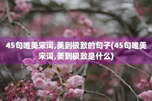 45句唯美宋词,美到极致的句子(45句唯美宋词,美到极致是什么)