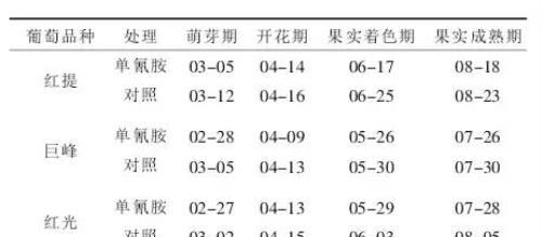 单氰胺在葡萄种植上到底怎么用，为啥有些农户用了出现药害？