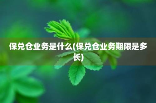 保兑仓业务是什么(保兑仓业务期限是多长)