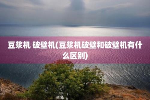 豆浆机 破壁机(豆浆机破壁和破壁机有什么区别)