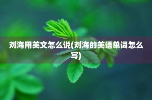 刘海用英文怎么说(刘海的英语单词怎么写)