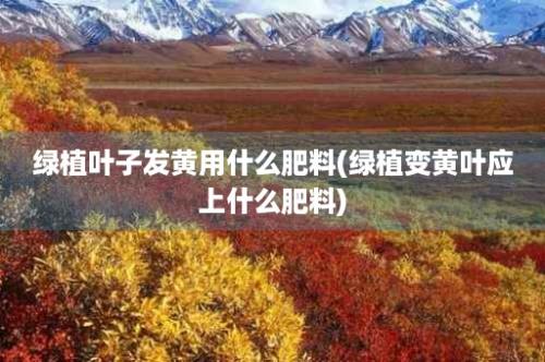 绿植叶子发黄用什么肥料(绿植变黄叶应上什么肥料)