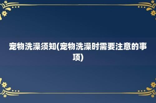 宠物洗澡须知(宠物洗澡时需要注意的事项)